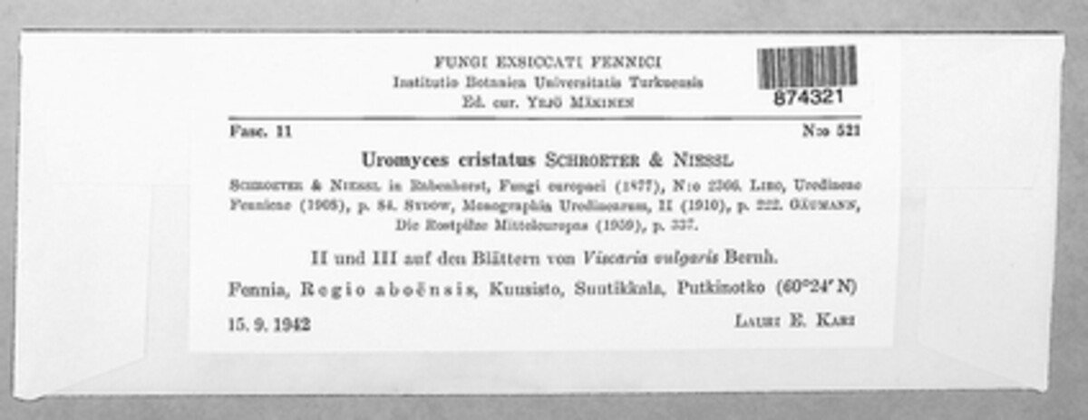 Uromyces cristatus image